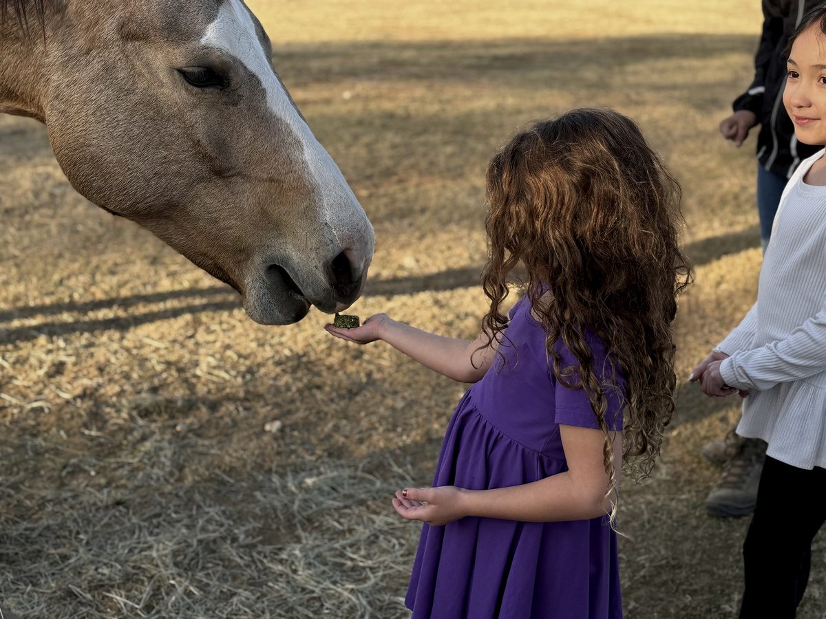 An LFG Academy student hand-feeding a horse